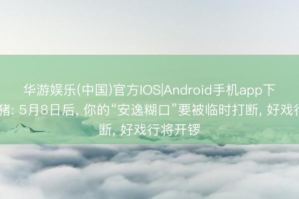 华游娱乐(中国)官方IOS|Android手机app下载 生肖猪: 5月8日后， 你的“安逸糊口”要被临时打断， 好戏行将开锣
