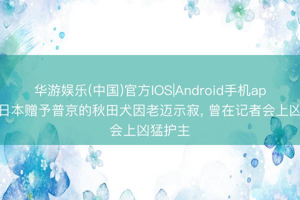 华游娱乐(中国)官方IOS|Android手机app下载 日本赠予普京的秋田犬因老迈示寂， 曾在记者会上凶猛护主