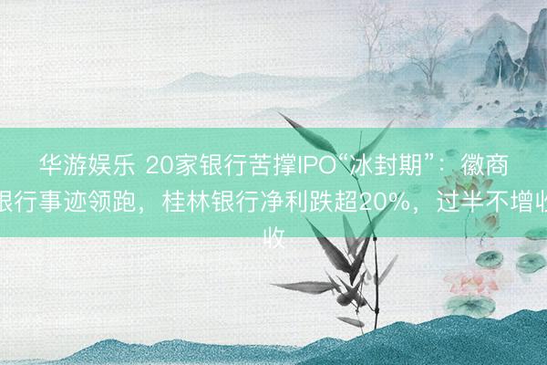 华游娱乐 20家银行苦撑IPO“冰封期”：徽商银行事迹领跑，桂林银行净利跌超20%，过半不增收