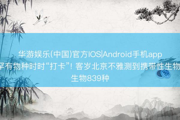 华游娱乐(中国)官方IOS|Android手机app下载 罕有物种时时“打卡”! 客岁北京不雅测到携带性生物839种