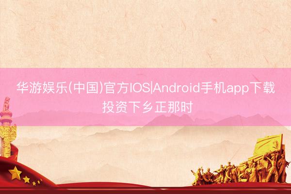 华游娱乐(中国)官方IOS|Android手机app下载 投资下乡正那时
