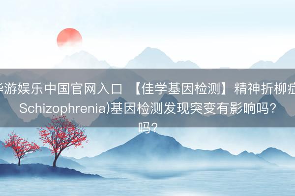 华游娱乐中国官网入口 【佳学基因检测】精神折柳症(Schizophrenia)基因检测发现突变有影响吗?