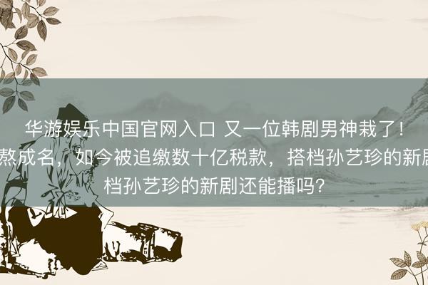 华游娱乐中国官网入口 又一位韩剧男神栽了！年少丧父苦熬成名，如今被追缴数十亿税款，搭档孙艺珍的新剧还能播吗？