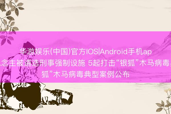 华游娱乐(中国)官方IOS|Android手机app下载 多东说念主被遴选刑事强制设施 5起打击“银狐”木马病毒典型案例公布